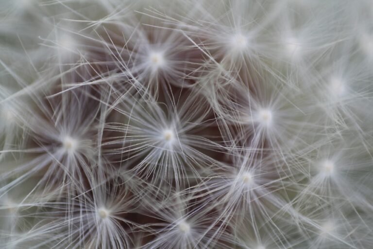 Photo "Neuroscience of learning"