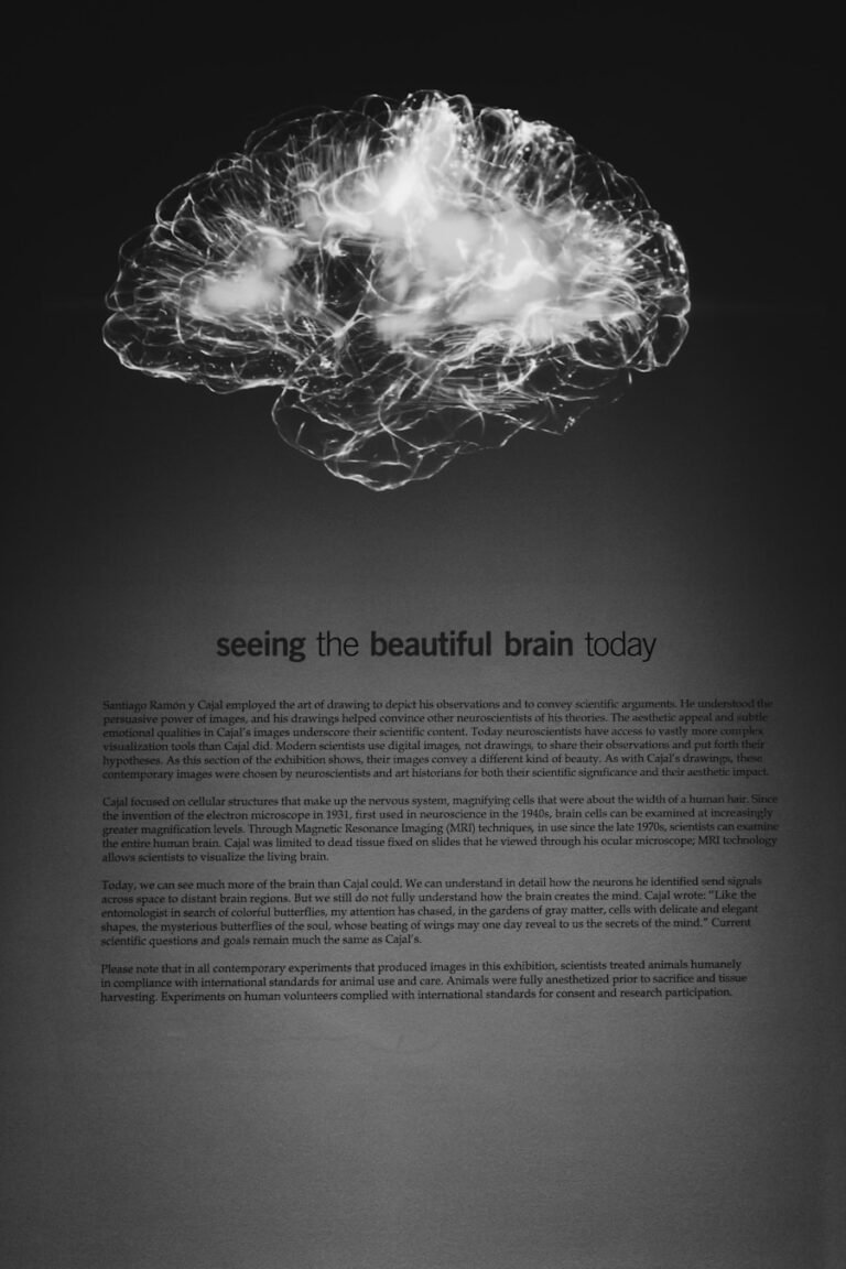 Photo Neuroscience and psychology of learning