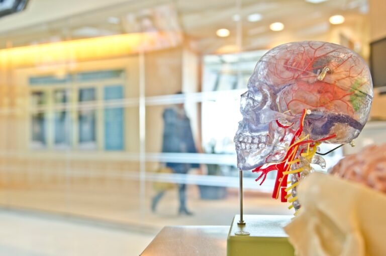 Photo "Neuroscience applied to education"